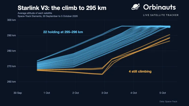 Illustration: a chart on a dark ground titled "Starlink V3: the climb to 295 km", with the Orbinauts logo at the top right. Altitude runs from 260 to 300 km up the side and the dates from 30 September to 5 October along the bottom. Twenty-two blue lines rise in a fan from about 270 km and flatten together just under 296 km, beside the label "22 holding at 295–296 km"; four orange lines stay near 268 km until 3 October, two of them sagging first, then rise to between 286 and 291 km, beside the label "4 still climbing"